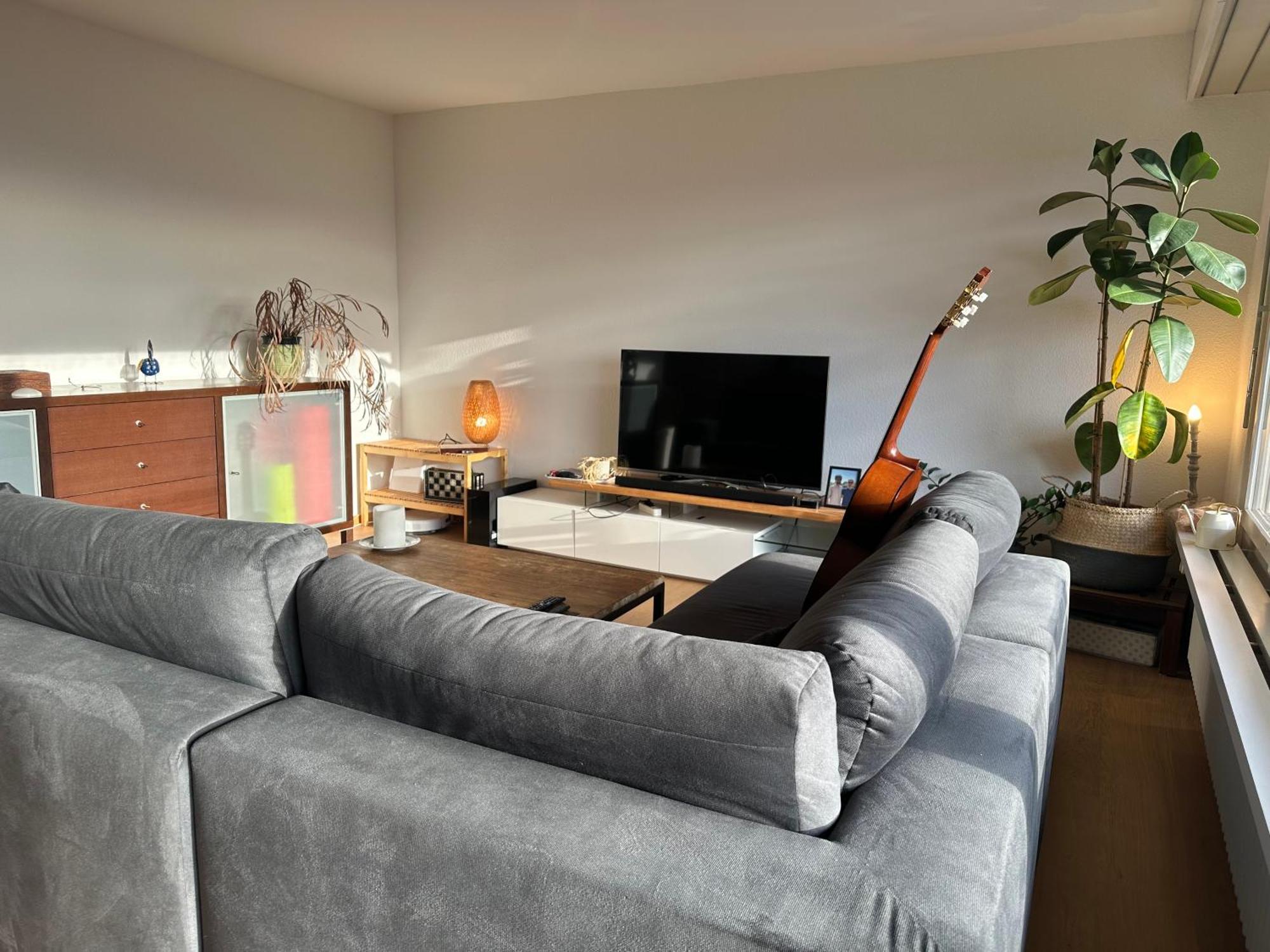 Lovely Room, 15 Min From Center, Mountain View Цюрих Екстериор снимка