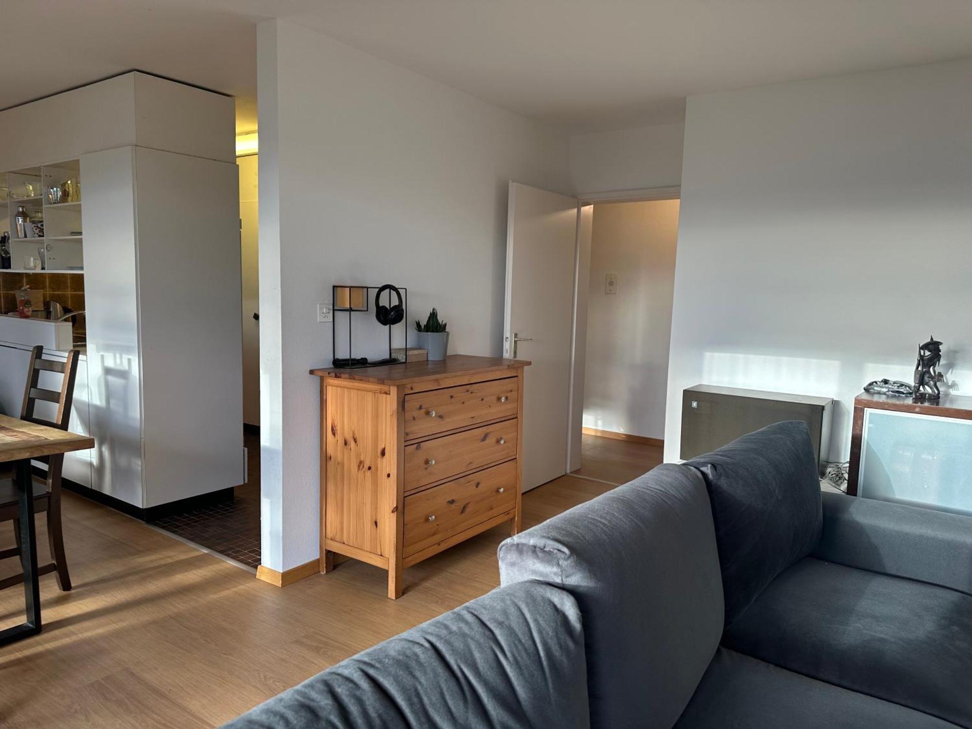 Lovely Room, 15 Min From Center, Mountain View Цюрих Екстериор снимка